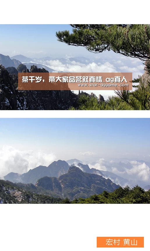 茶千岁,带大家品茗叙真情_ag真人(图2) ag真人注册