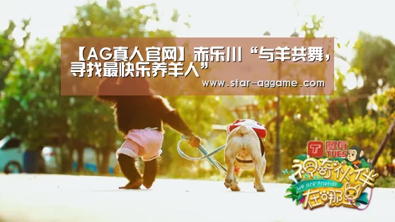 ag真人注册