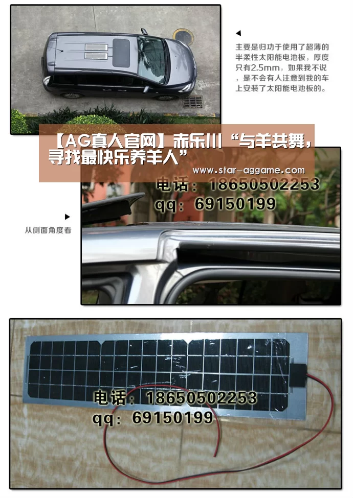 ag真人注册