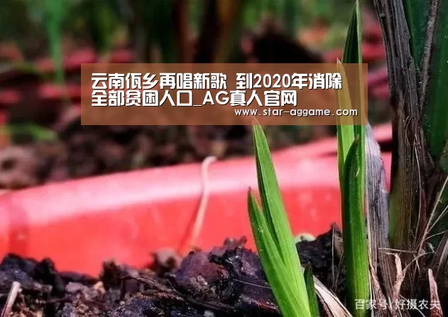 ag真人入口