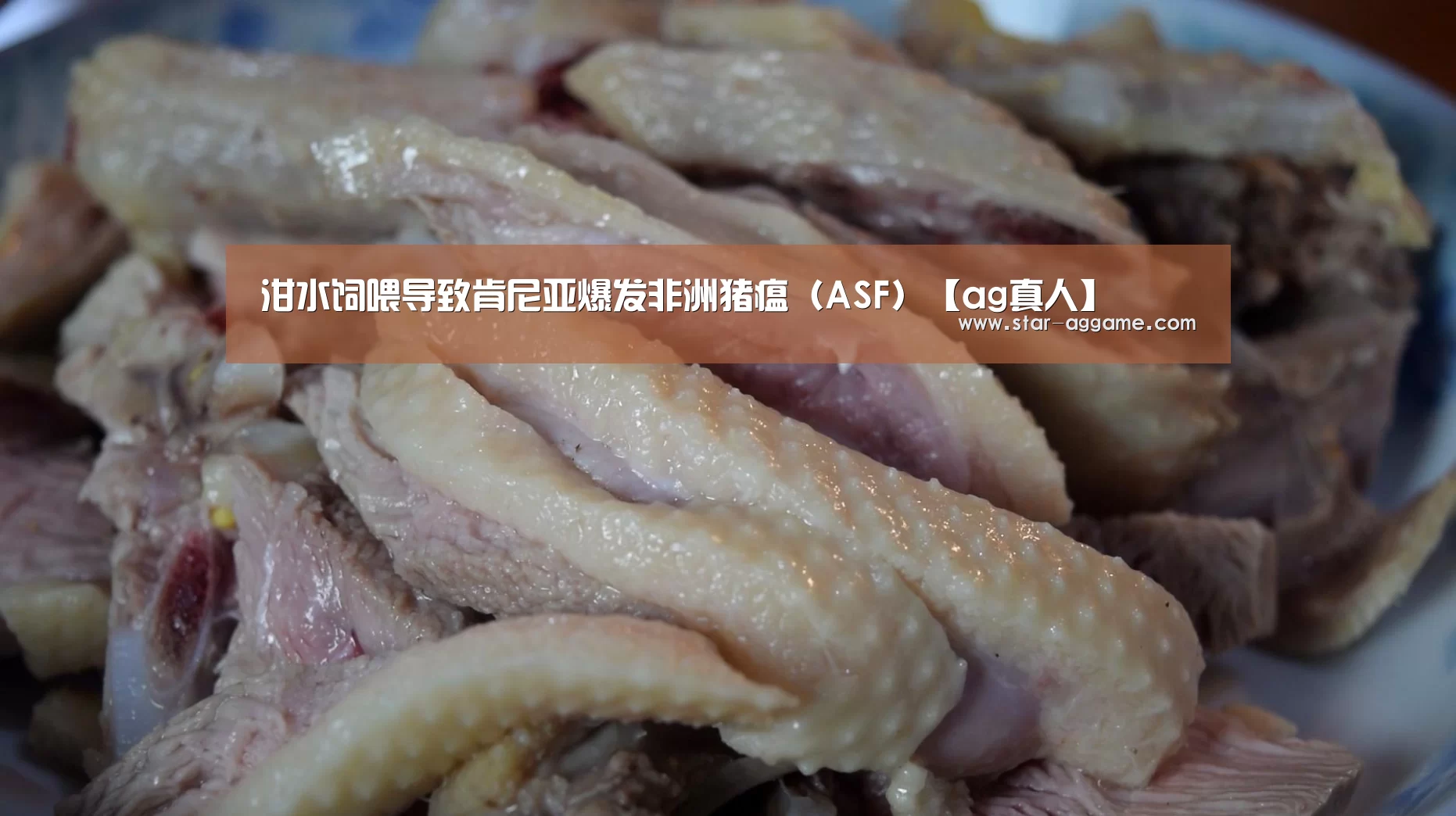 ag真人注册